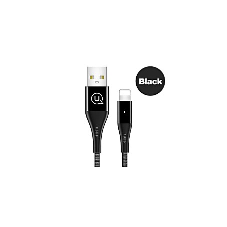 Câble USB Type C - Noir - 1.20 m