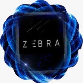 Abonnement IPTV ZEBRA 6MOIS