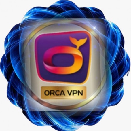 Abonnement ORCA VPN 12 MOIS