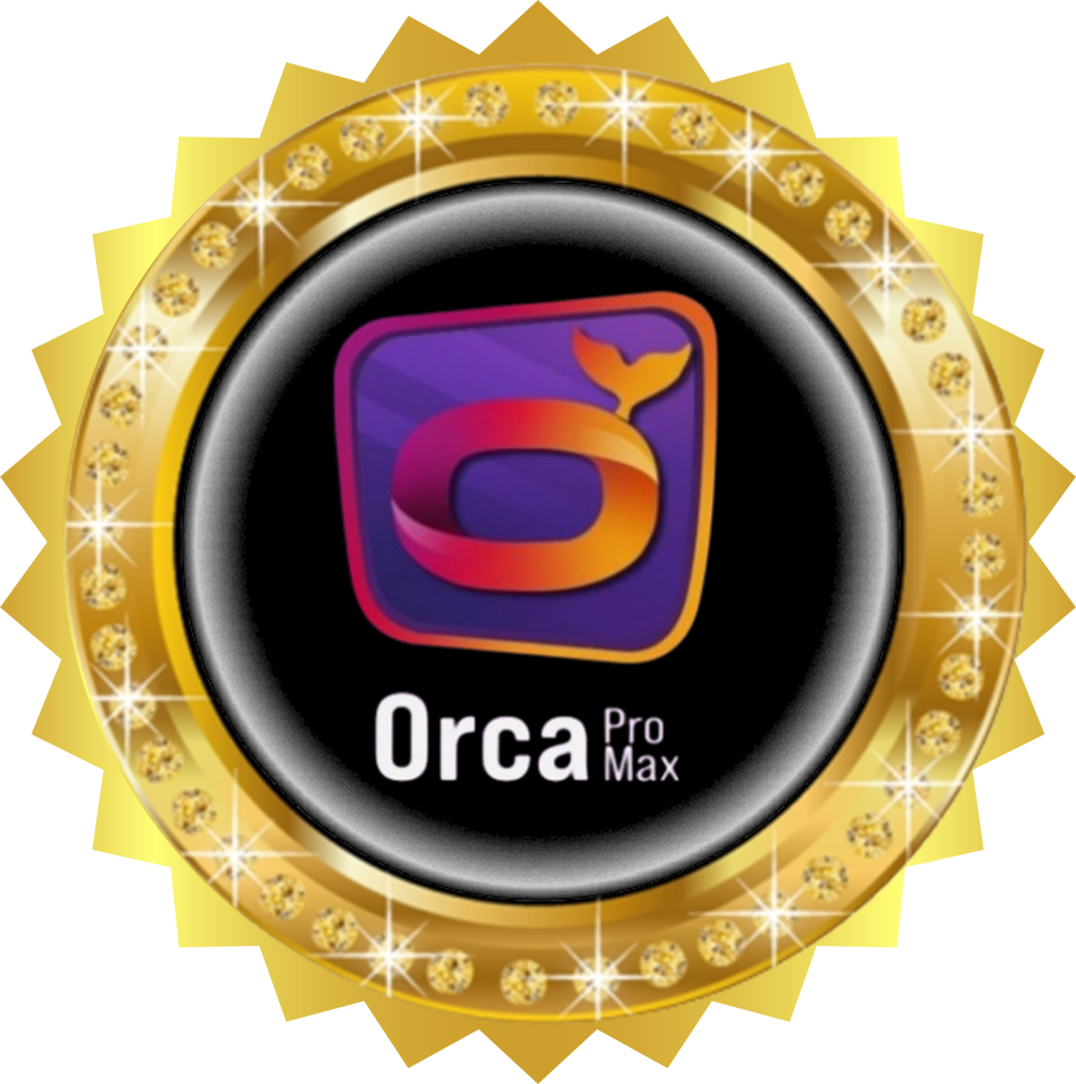 Orca Pro Max ABONNEMENT ORCA PRO MAX 12MOIS - ElectroSatellite Tunisie