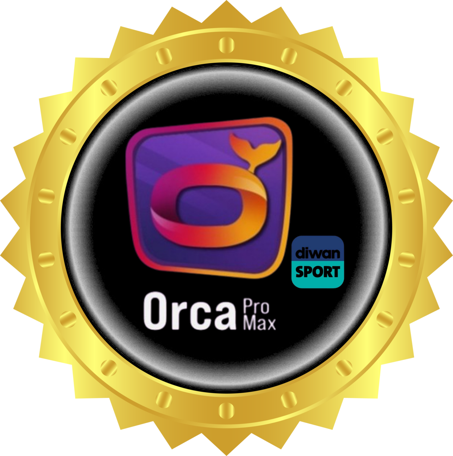 Orca Pro Max ABONNEMENT ORCA PRO MAX 12MOIS - ElectroSatellite Tunisie